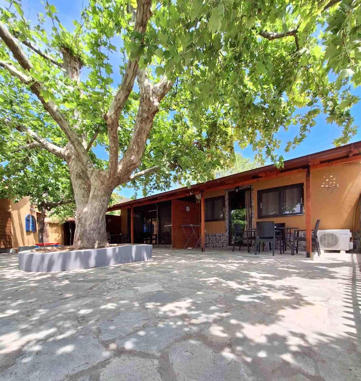 Platanes Apartments Skala Marion Exterior photo